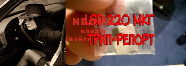 МДПВ Алзамай