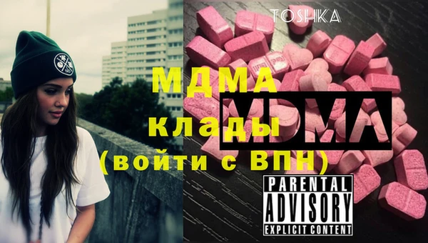 шишки Инсар